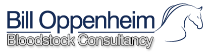 Bill Oppenheim Group Logo